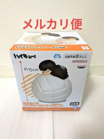 하이큐!! 쌔근쌔근 룸 라이트 카게야마 토비오 룸 라이트 피규어