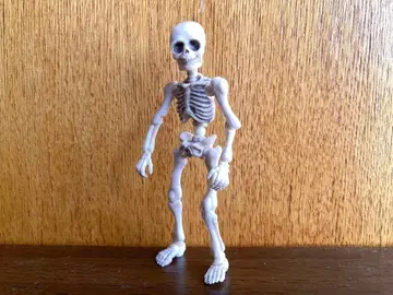 포즈 스켈레톤 01 히토 리멘트 피규어