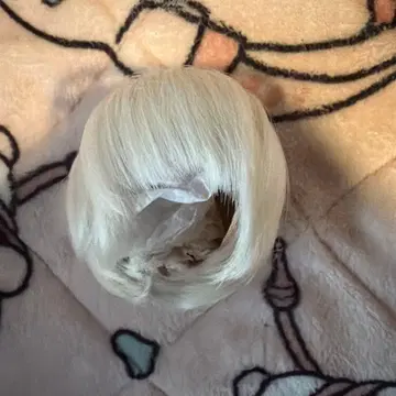 SDM 사이즈 7-8인치 화이트 가발