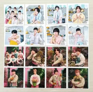 나니와단시 후쿠오카 한정판 정사각형 사진 봄/여름 컴프