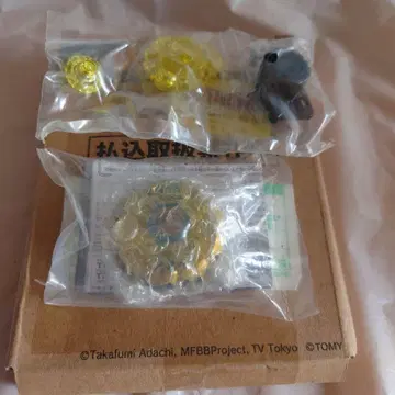 베이블레이드 디바인 키메라 TR145 FB