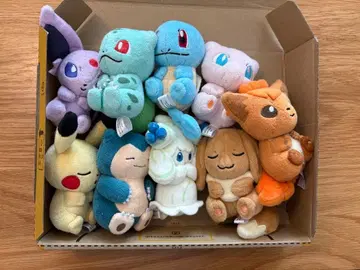 쁘띠 봉제인형 in 몬스터볼 포켓몬 9개 세트 마휘핑 에브이