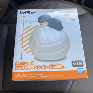 하이큐!! 스야스야 룸 라이트 카게야마 토비오