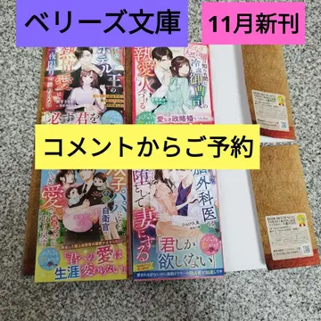 베리즈 문고 11월 신간 4권