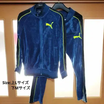 레어 puma 벨로아 셋업 상하의 저지