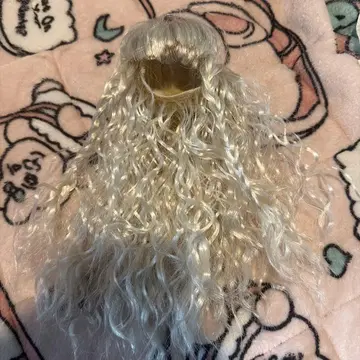 코디네이트 모델 착용 가발 실버 롱