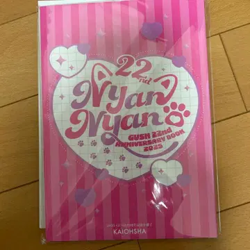 GUSH 22주년 기념 에치에치 소책자 [ Anya Nantan ]