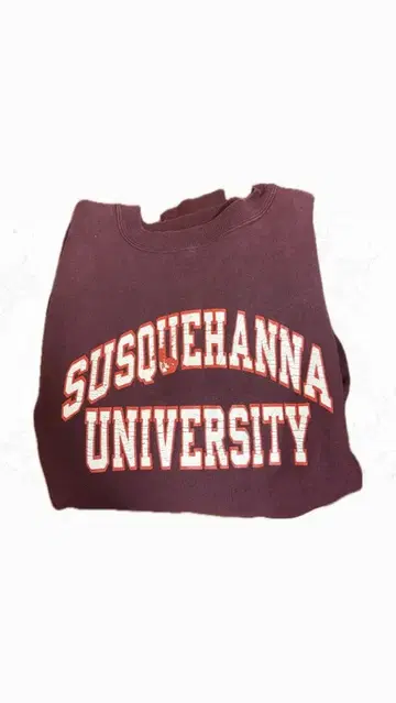 Champion Reverse Weave 맨투맨