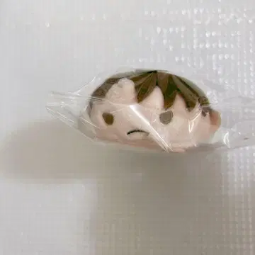 하이큐 노루캬라 우시지마 와카토시