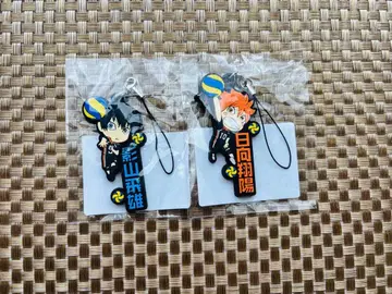 하이큐!! 페스티벌 2023 네임 러버 참