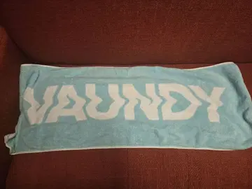Vaundy 스카이블루 타월