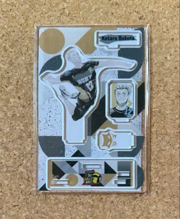 하이큐 보쿠토 V리그 아크릴 스탠드