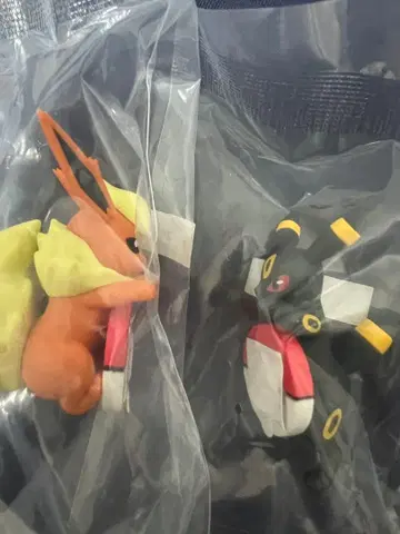 2025 포켓몬 컬렉션 F상 길거리 산책 치라링 프렌즈입니다.