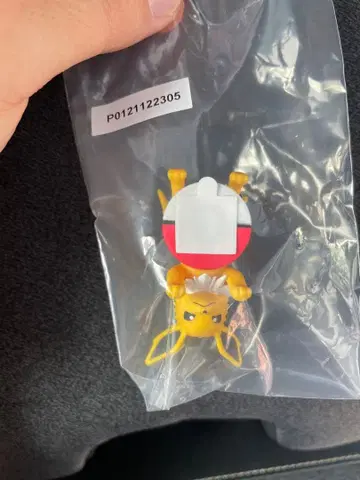 제일복권 포켓몬 F상 길거리 산책 찰랑 프렌즈 썬더스