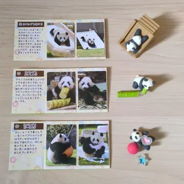 어드벤처 월드 PANDA BABY COLLECTION 3개 세트