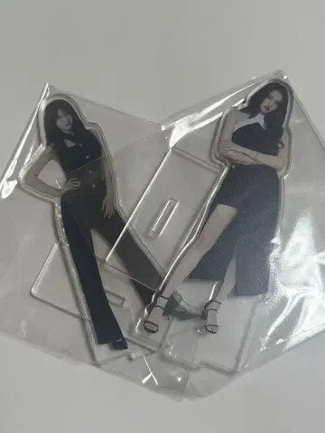 everglow 아크릴 스탠드