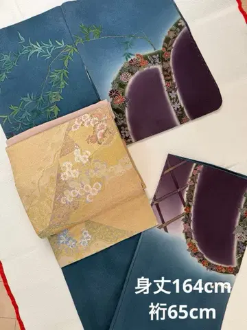 호몬기 시츠케츠 미착용