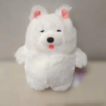 무크무크 뭇쿤 인기쟁이 사모돈