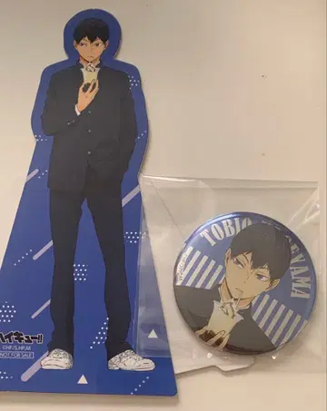 하이큐!! 카게야마 토비오 난자타운