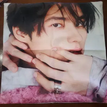 혼다 히비키야 쿠션 커버