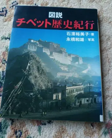 도설 티베트 역사 기행