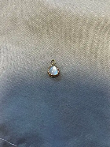 아가트 참 한쪽 귀