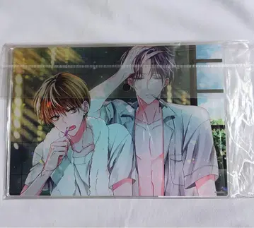 세프레, 역시 없이는! 아크릴 아트 보드