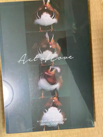 Act of Love: A Visual Dictionary of Anim