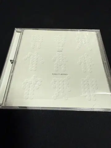 핵P-MODEL un ZIP 히라사와 스스무