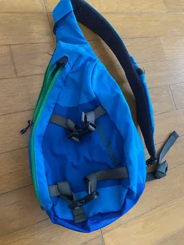 patagonia 슬링백 파랑