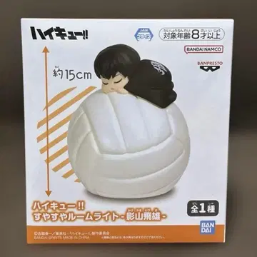 하이큐!! 스야스야 룸 라이트 카게야마 토비오 룸 라이트