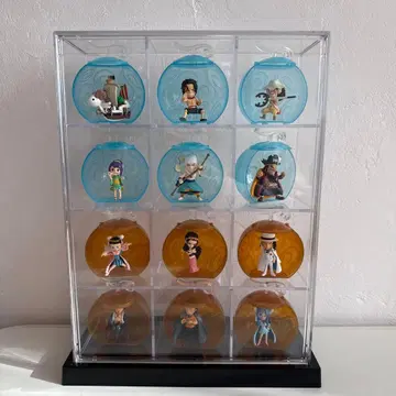 원피스 열매 / 묶음 판매 / 투명 쇼케이스 포함