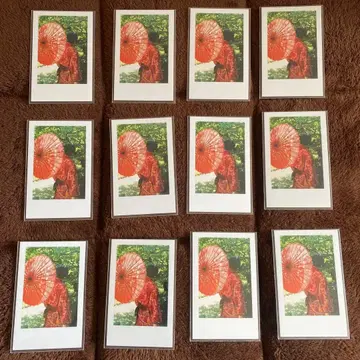 이레이스 리우라 실사 폴라로이드