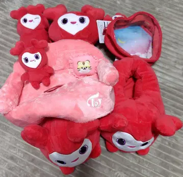 twice gigo 채영 첸리 한정 세트