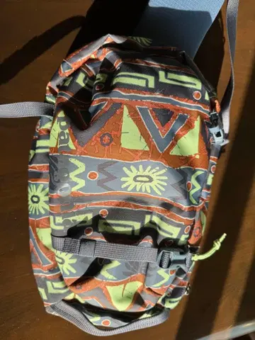 Patagonia 멀티 컬러 백팩