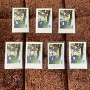 이레이스 어른조 실사 폴라로이드