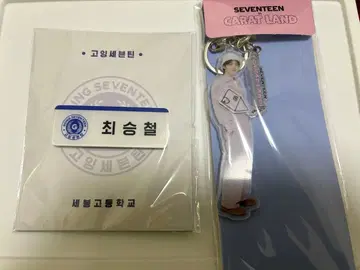 세븐틴 에스쿱스 아크릴 스탠드 네임택 고세 케렌 세트