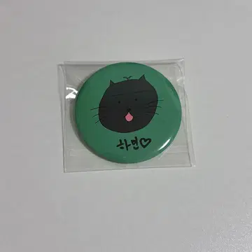 plave 하민 캔뱃지