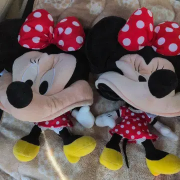 디즈니 팬캡 미니