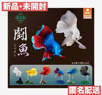 투어 베타 전 6종 컴플리트 세트