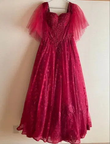 빨간색 롱 드레스 환력