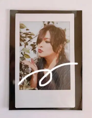 ViViD 폴라로이드 RENO