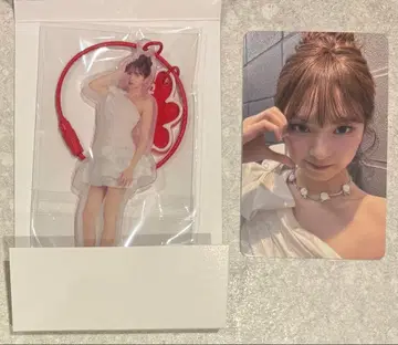 베이비몬 팝업 일본 팬콘 구매 혜택 트레이딩 카드 치키타 사진 참