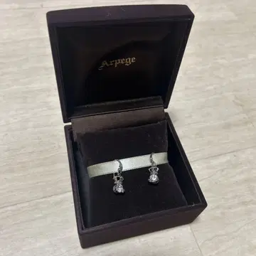 알페이지 귀걸이 케이스 포함