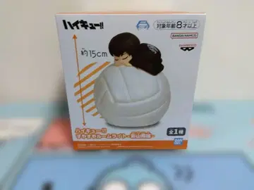 무료배송 하이큐 스야스야 룸 라이트 카게야마