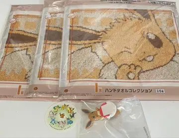 제일복권 포켓몬 F상 길거리 산책 챠라링 프렌즈 이브이 세트