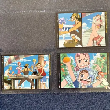 원피스 카드다스 마스터즈 애니메이션 구 카드 레어 초레어