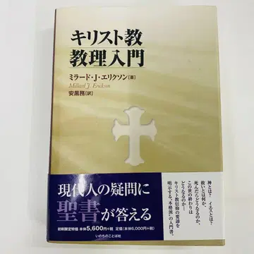 기독교 교리 입문 미라드 J 릭슨