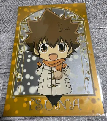 가정교사 히트맨 REBORN! 사와다 츠나요시 츠나 엽서