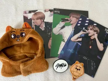 스키즈 펜라 커버 랜티큘러 묶음 판매 지성 한쿼카